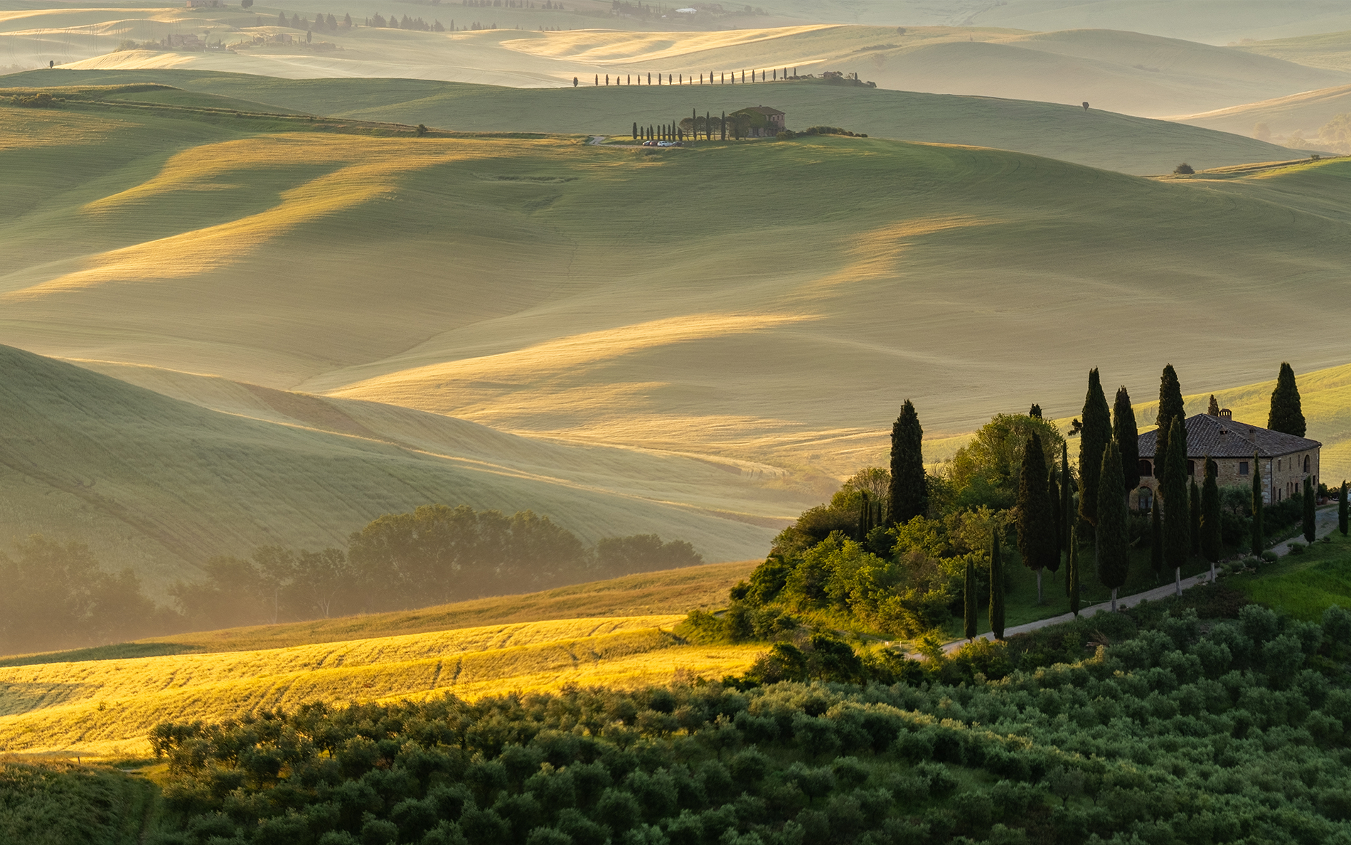 paesaggio vigneto